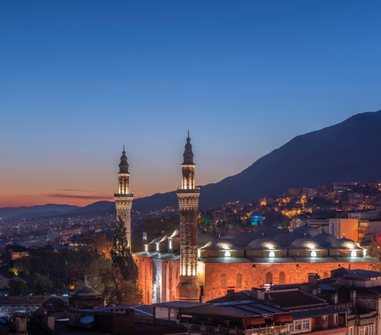 Bursa